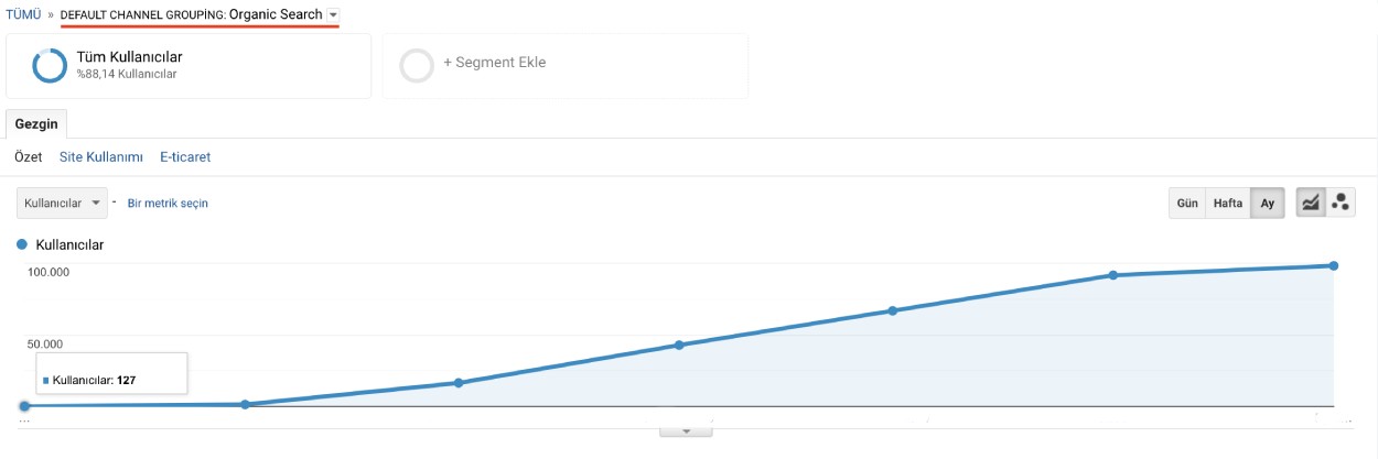 SEO Ajansı - Organik Trafik Gelişimi